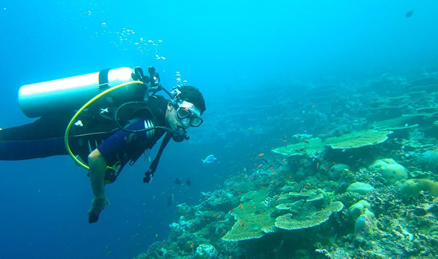 scuba-divers-maldives