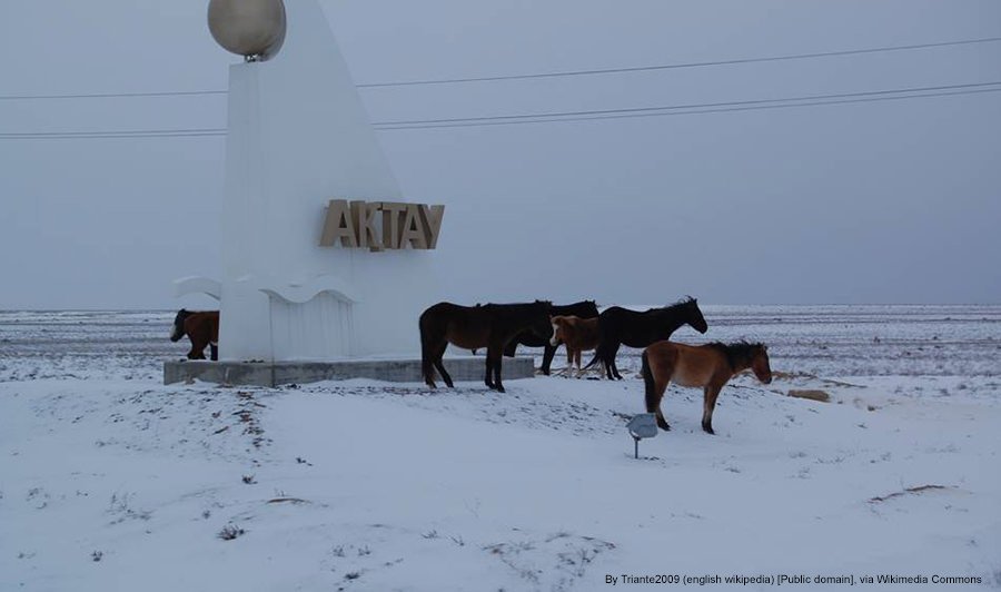 kazakhstan-horses